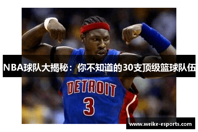 NBA球队大揭秘：你不知道的30支顶级篮球队伍