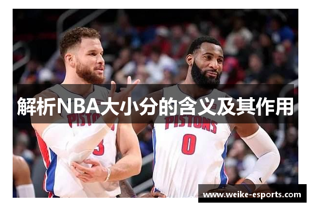 解析NBA大小分的含义及其作用
