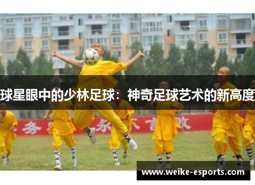 球星眼中的少林足球：神奇足球艺术的新高度