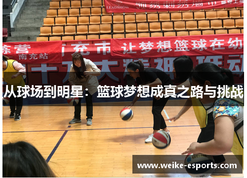 从球场到明星：篮球梦想成真之路与挑战