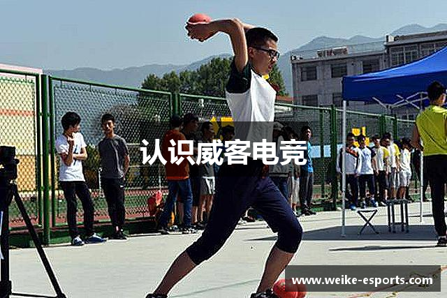 认识威客电竞